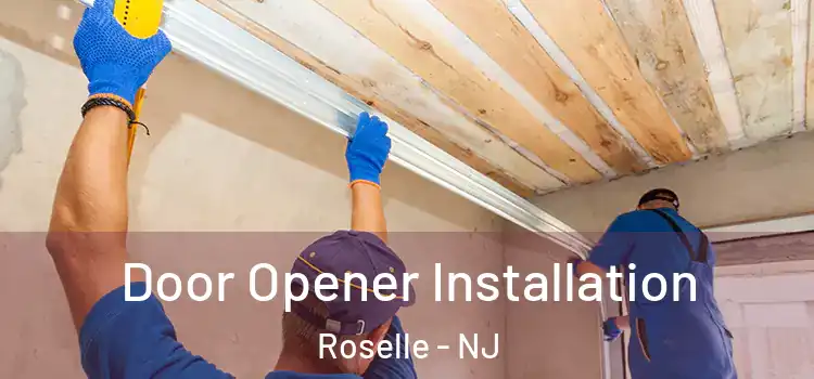  Door Opener Installation Roselle - NJ