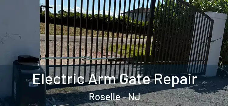 Electric Arm Gate Repair Roselle - NJ