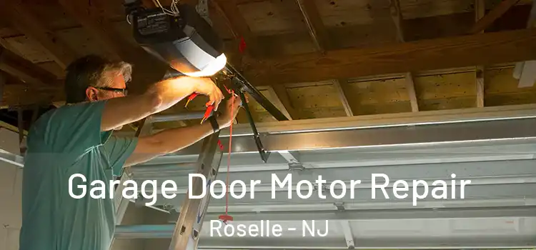  Garage Door Motor Repair Roselle - NJ