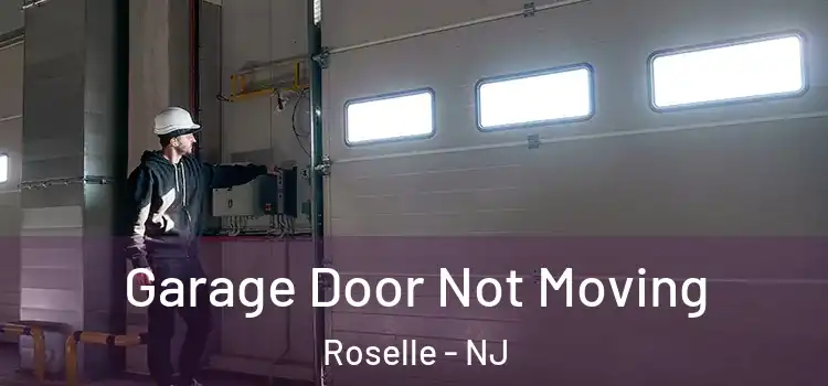  Garage Door Not Moving Roselle - NJ