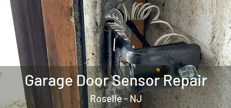 Garage Door Sensor Repair Roselle - NJ