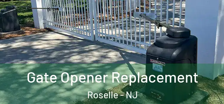 Gate Opener Replacement Roselle - NJ