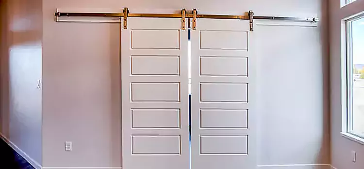 Glass Barn Door with Installation Hardware Kit Roselle