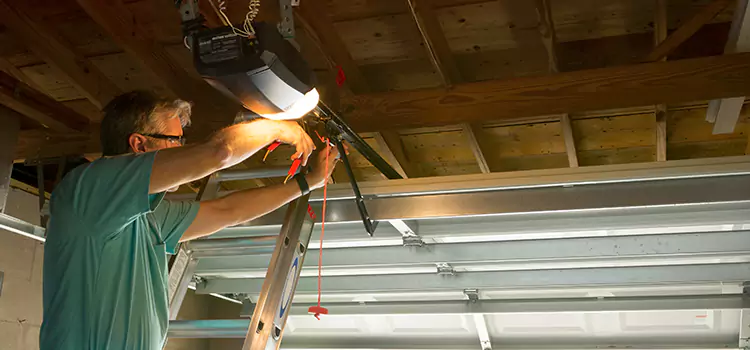Garage Door Opener Sales and Installation Roselle