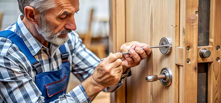 Mortise Replacement Lock Roselle