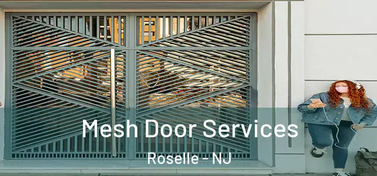  Mesh Door Services Roselle - NJ