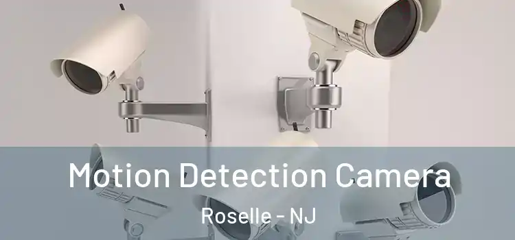  Motion Detection Camera Roselle - NJ