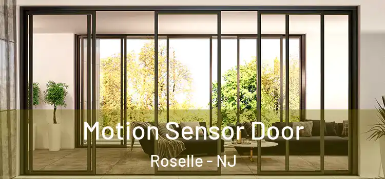 Motion Sensor Door Roselle - NJ