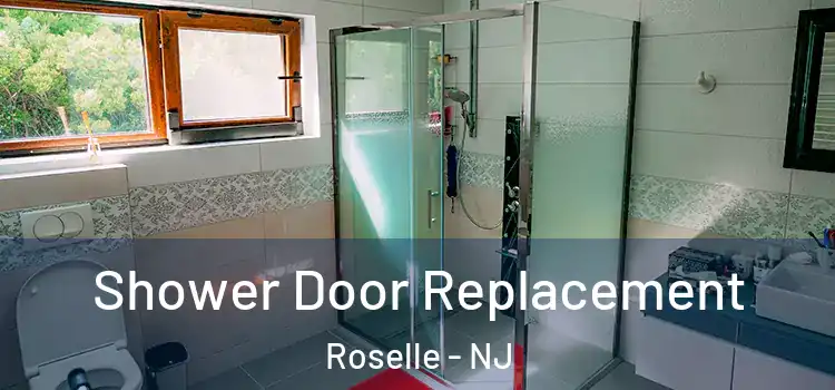 Shower Door Replacement Roselle - NJ