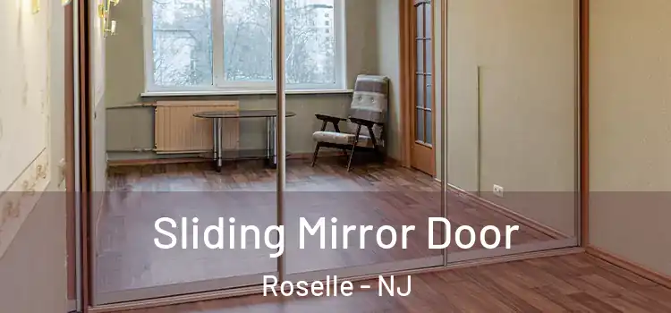  Sliding Mirror Door Roselle - NJ